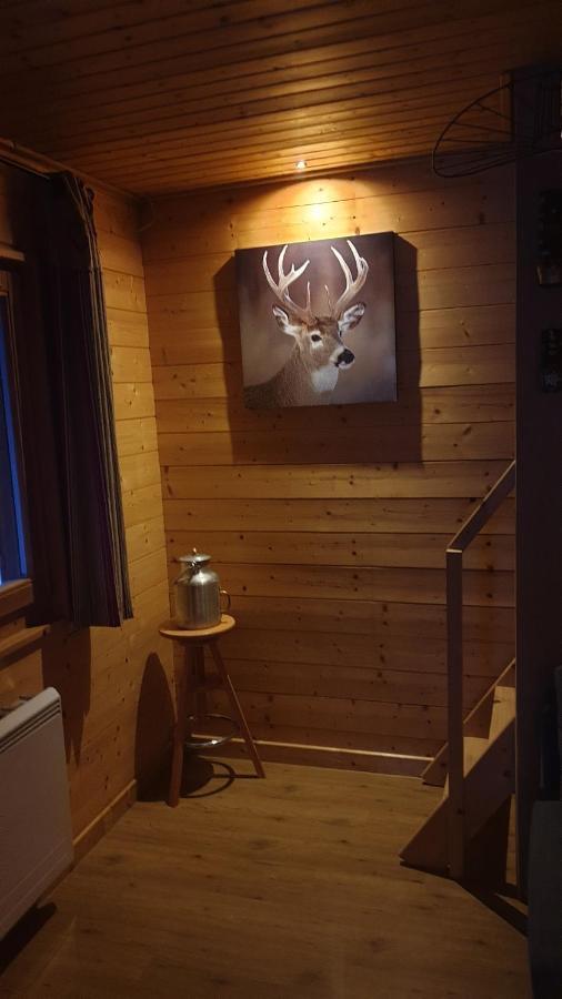 Chalet Les Vosgiennes Ле-Вальтен Экстерьер фото